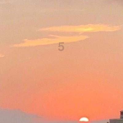 大无名森林逃生